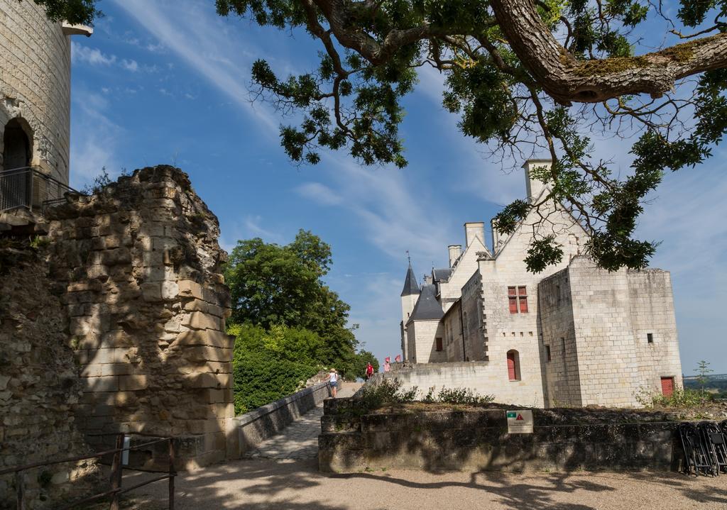 Résidence Prestige Odalys Le Clos Saint Michel Chinon Exterior foto